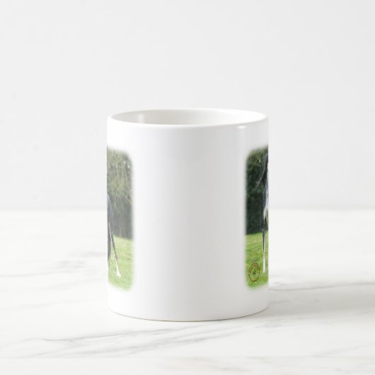 Saluki Kaffeetasse (Mittel)