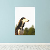 Saluki Leinwanddruck (Insitu (Holzboden))