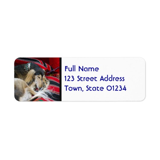 Saluki Mailing Labels (Vorne)