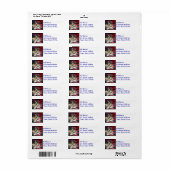 Saluki Mailing Labels (Vorne)