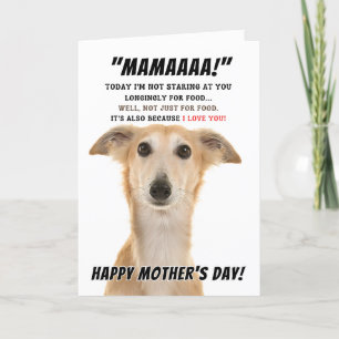 Saluki Mothers Tageswünsche Dankeskarte