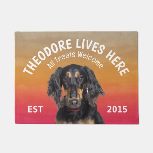 Saluki Personalisiert Dog Lover Doormat Fußmatte (Vorderseite)