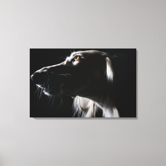 Saluki, Portrait Leinwanddruck (Vorderseite)