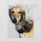 Saluki Portrait Postkarte (Vorderseite)