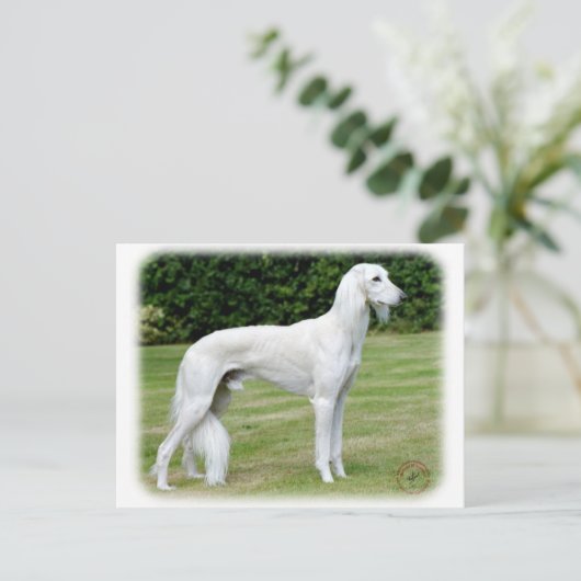 Saluki Postkarte (Stehend Vorderseite)