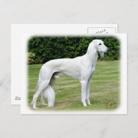 Saluki Postkarte (Vorne/Hinten)