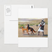 Saluki Postkarte (Vorne/Hinten)