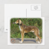 Saluki Postkarte (Vorne/Hinten)
