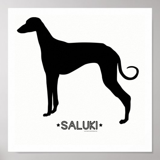 Saluki Print Poster (Vorne)