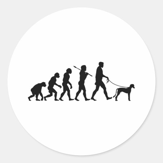 Saluki Runder Aufkleber (Vorderseite)