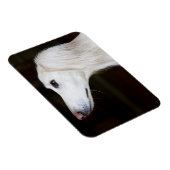 Saluki sucht nach magnet (Rechte Seite)