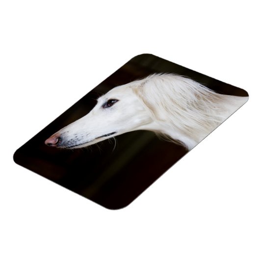 Saluki sucht nach magnet (Linke Seite)