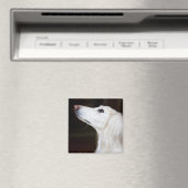 Saluki sucht nach magnet (In Situ (Geschirrspüler))