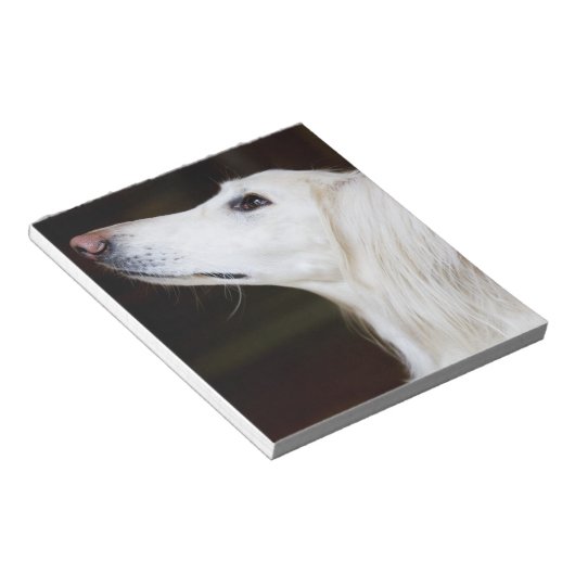 Saluki sucht nach notizblock (angewinkelt)