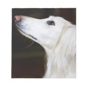 Saluki sucht nach notizblock (Vorderseite)