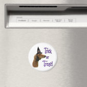 Saluki Trick Magnet (In Situ (Geschirrspüler))