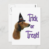 Saluki Trick Postkarte (Vorne/Hinten)
