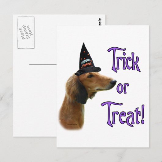 Saluki Trick Postkarte (Vorne/Hinten)