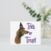 Saluki Trick Postkarte (Stehend Vorderseite)