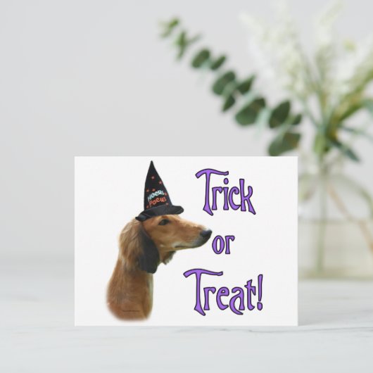 Saluki Trick Postkarte (Stehend Vorderseite)