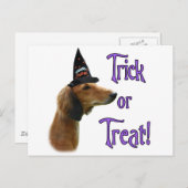 Saluki Trick Postkarte (Vorne/Hinten)