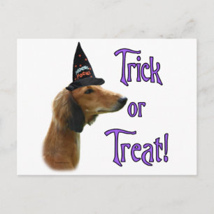 Saluki Trick Postkarte