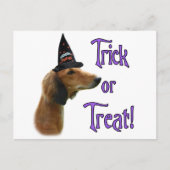 Saluki Trick Postkarte (Vorderseite)