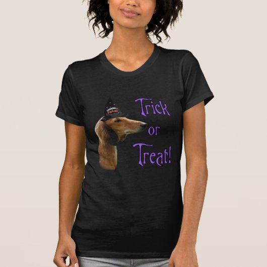 Saluki Trick T-Shirt (Vorderseite)