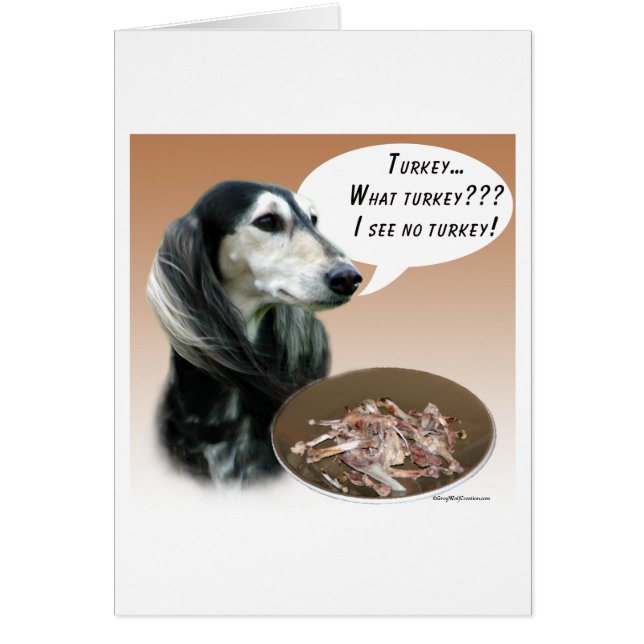 Saluki Türkei (Vorne)