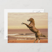 Salute zum Morgen Postkarte (Vorne/Hinten)