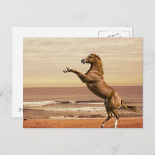 Salute zum Morgen Postkarte (Vorne/Hinten)