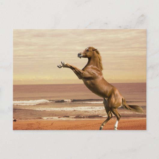 Salute zum Morgen Postkarte (Vorderseite)