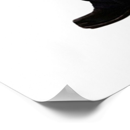 Salvatore Brothers Poster (Ecke)