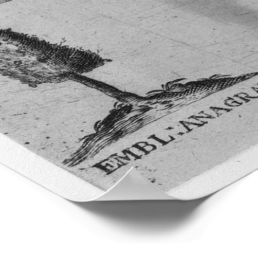 Salve Hieroglyphicum Votivum Latin Symbols Anagram Poster (Ecke)