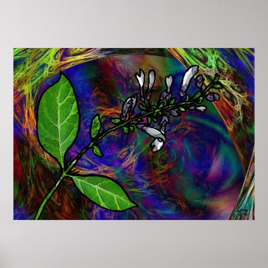 Salvia Divinorum Poster (Vorne)