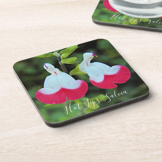 Salvia Floral Getränkeuntersetzer (Linke Seite)