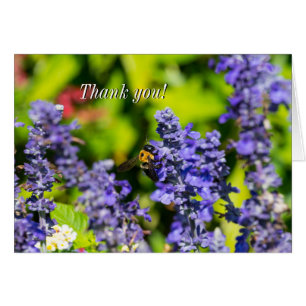 Salvia mit Hummel Dankeschön Karte
