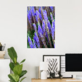 Salvia Poster (Heimbüro)
