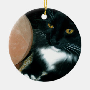 Salz-Kugel und Katze psychisch - Fotografie Keramikornament