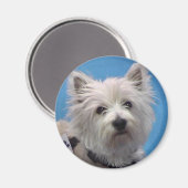 Salz Magnet (Vorderseite/Rückseite)