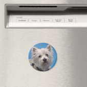 Salz Magnet (In Situ (Geschirrspüler))