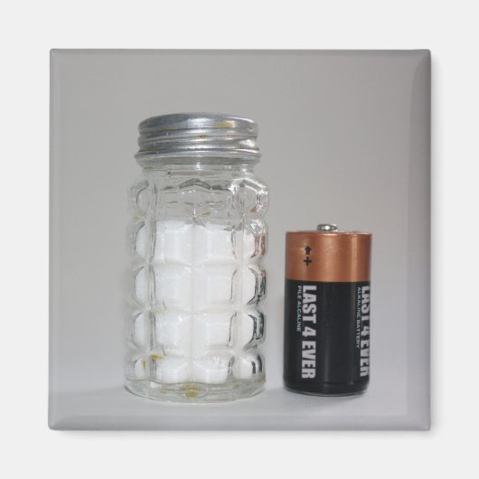 Salz und Batterie Magnet (Vorne)