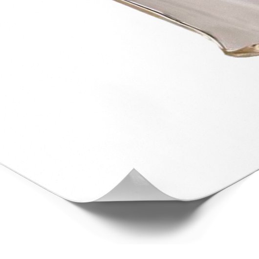 Salz- und Pfefferhühner Hunde Poster (Ecke)