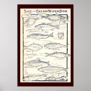 Salz und Süßwasserfisch Poster