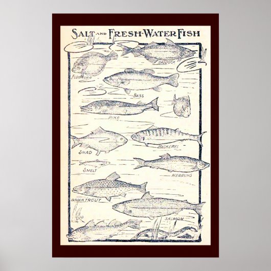 Salz und Süßwasserfisch Poster (Vorne)