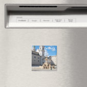 Salzburg, Magnet (In Situ (Geschirrspüler))