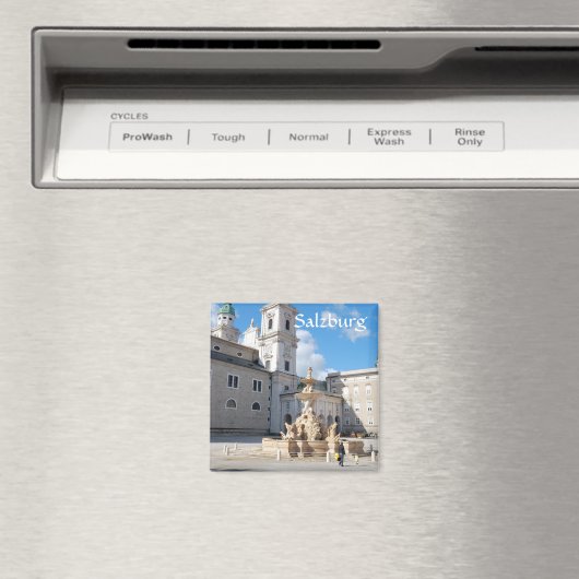 Salzburg, Magnet (In Situ (Geschirrspüler))