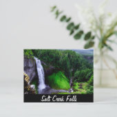 Salzcreek Falls, Oregon Postkarte (Stehend Vorderseite)