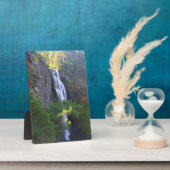 Salzcremefallen, OR Fotoplatte (Seite)