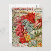 Salzer-Blume Saatgut Postkarte (Vorne/Hinten)